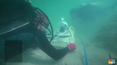 Underwater Camera Near Portmiami Takes Livestream Viewers Under The Sea During Quarantine Nbc 6 South Florida