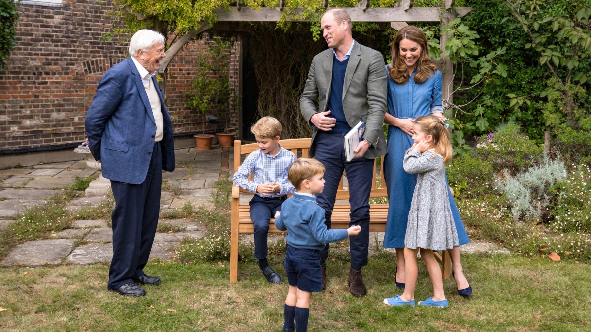 See the First Official Portraits of Prince Louis