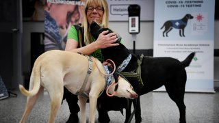 The coronavirus sniffer at at the Helsinki airport in Vantaa, Finland