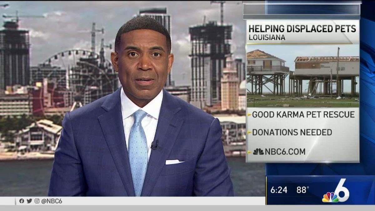 Good Karma Pet Rescue Heading to Louisiana Help Displaced ...