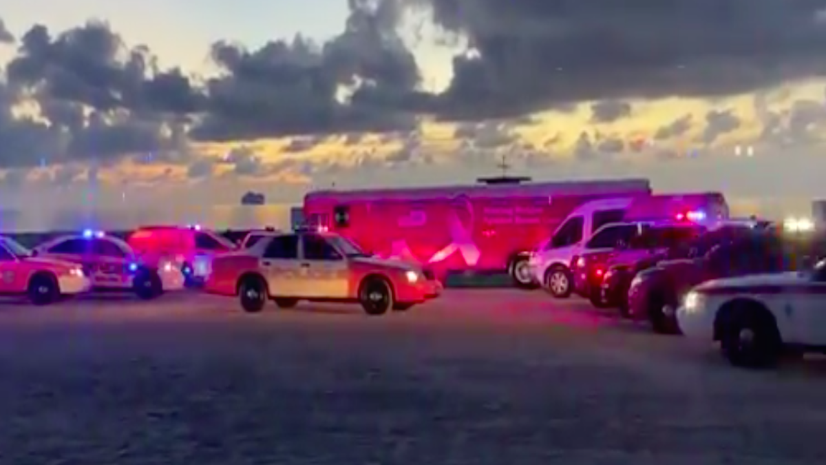 Police Forces Debut Pink Cars for Breast Cancer Awareness Month - Fort Lauderdale News