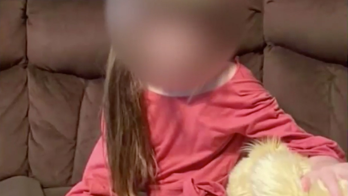sex doll legality Child sex doll imports expose previously unknown offenders | Child  protection main image 0