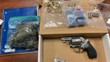 BSO officials said they found a revolver with the serial numbers scratched off as well as more than 100 grams of cannabis.