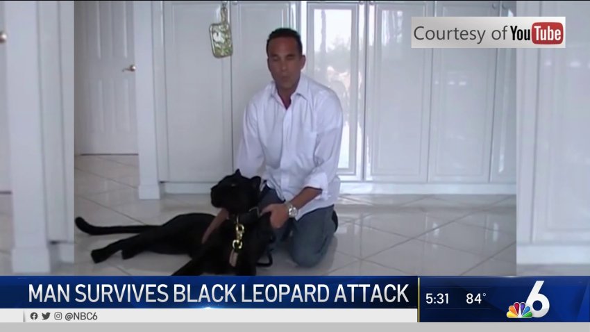 Man Survives Black Leopard Attack