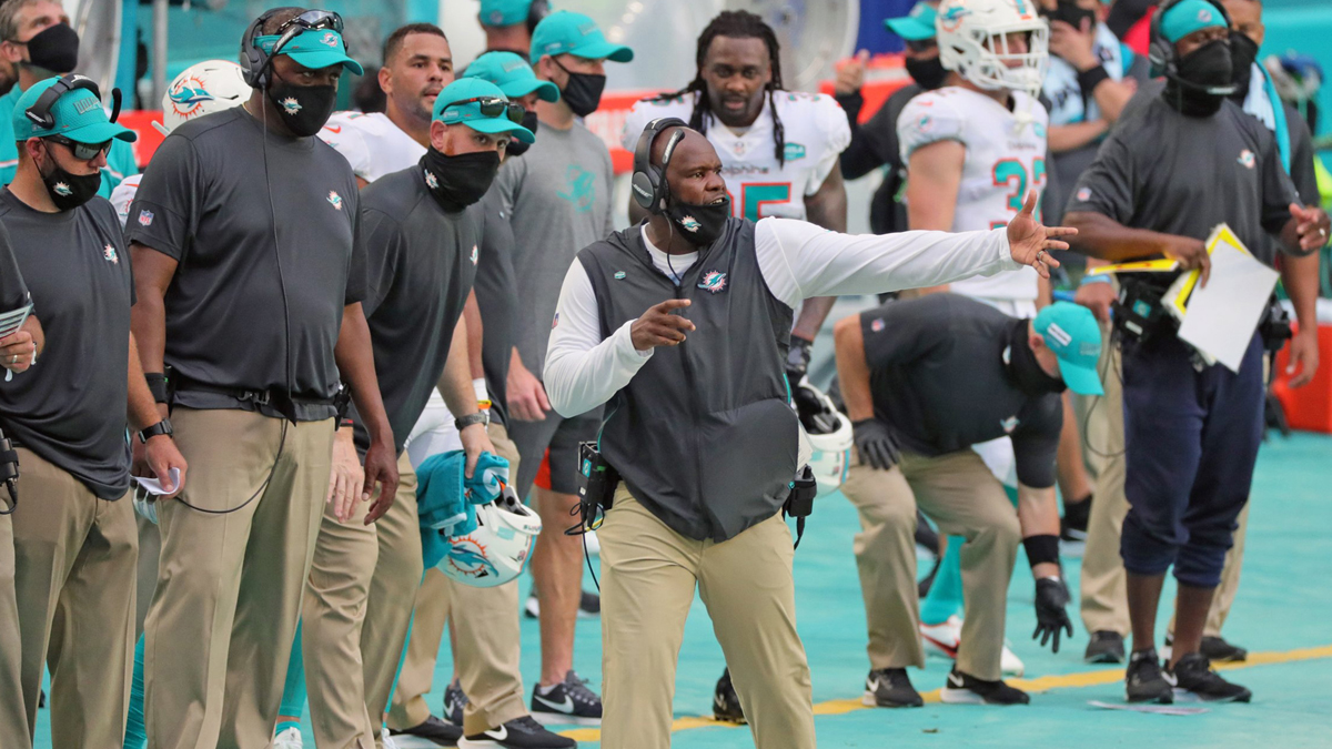 Dolphins are in the hunt for first division title since 2008