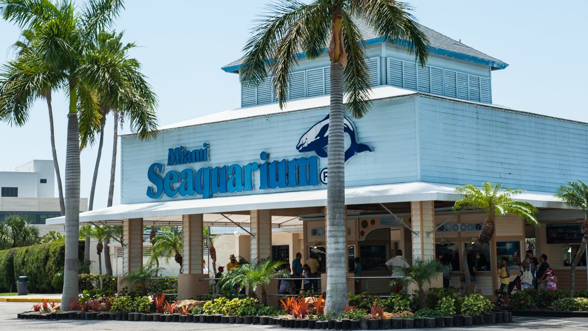 Miami Seaquarium approaches its eviction deadline – NBC 6 South Florida