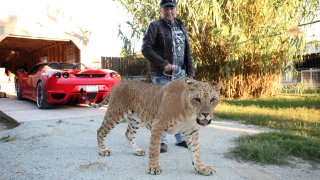 Jeff Lowe with Faith the liliger