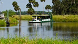North America, USA, Florida, Sarasota County, Myakka River State Park, Tour Boat Gator Gal on Myakka Lake. (Photo by: Education Images/Universal Images Group via Getty Images)