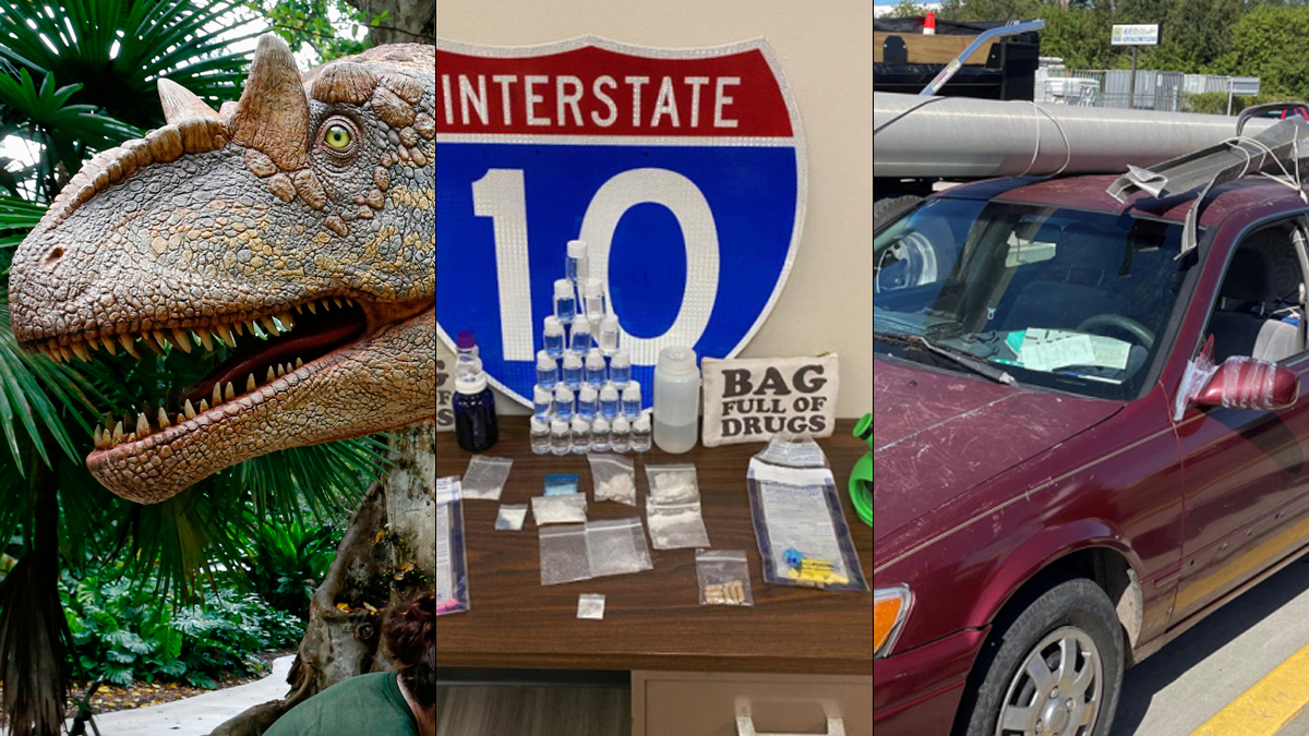 ICYMI: Top 'Florida Man' Stories of 2020, Thousands Waiting for Enhanced Unemployment Benefits – NBC 6 South Florida - Vimarsana News