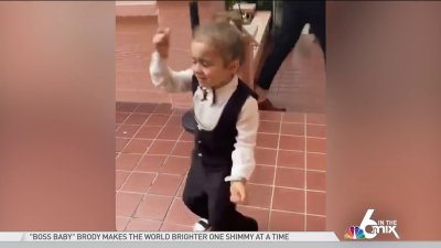 ‘Boss Baby' Brody Brightens The World One Shimmy at a Time