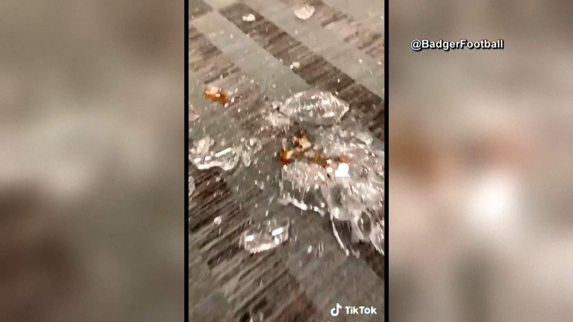 Qehznj3bpa3oqm https www nbcmiami com news local the 5 sax notes that changed alto reeds life 1921127