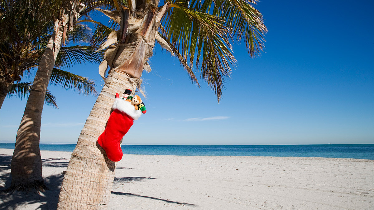 Cold Front Could Cause South Florida’s Chilliest Christmas in Two ...