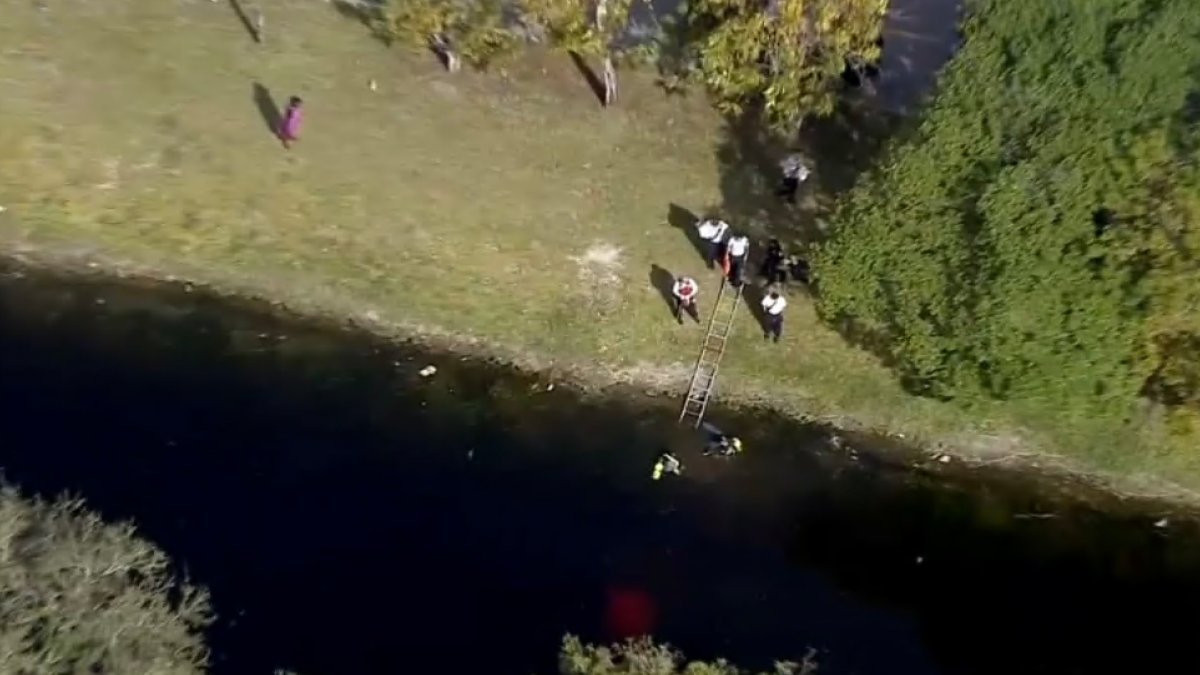 Divers Search Water After Car Found in Canal in Opalocka NBC 6 South
