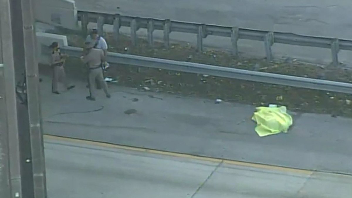 Pedestrian Struck and Killed by HitandRun Driver on I95 in Miami