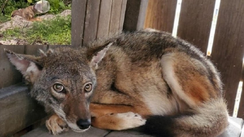 Spring Break 2021: Miami Beach Imposes Enhanced Safety ...