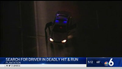 Police Searching for Driver in Fatal Hit-And-Run in Plantation