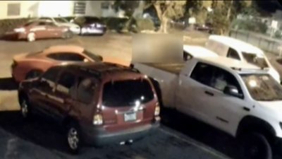 Police Seek Suspect in Deadly Hit and Run