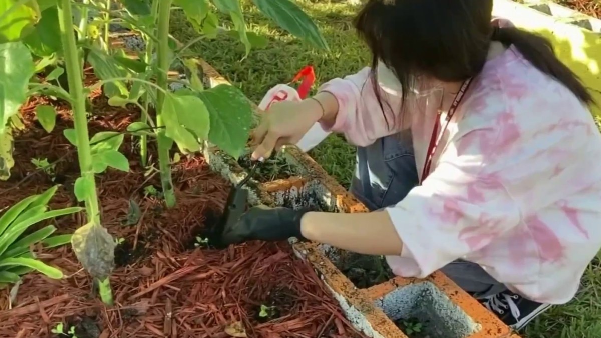 A Day of 'Service and Love' in Tribute to the MSD Victims Near 3-Year Mark of Tragedy – NBC 6 South Florida - Vimarsana News