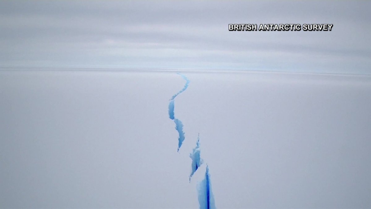 Giant Iceberg Nearly 9 Times the Size of Miami Breaks Off Brunt Ice