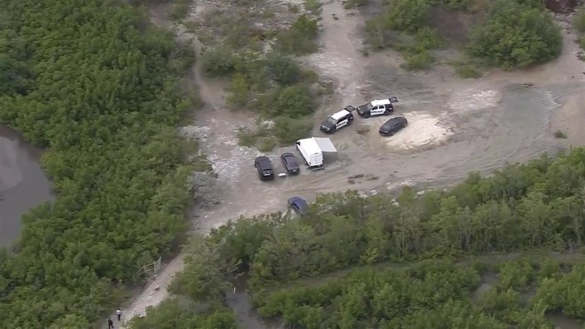 Hollywood Police Search Wooded Area in Noemi Bolivar Case