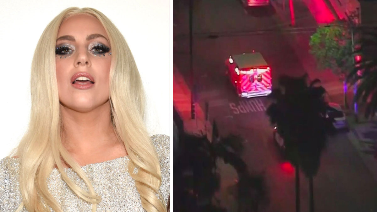 Gentleman Sentenced to 21 Yrs Following Pleading No Contest to Shooting Girl Gaga’s Pet Walker Gentleman Sentenced to 21 Yrs Following Pleading No Contest to Shooting Girl Gaga’s Pet Walker