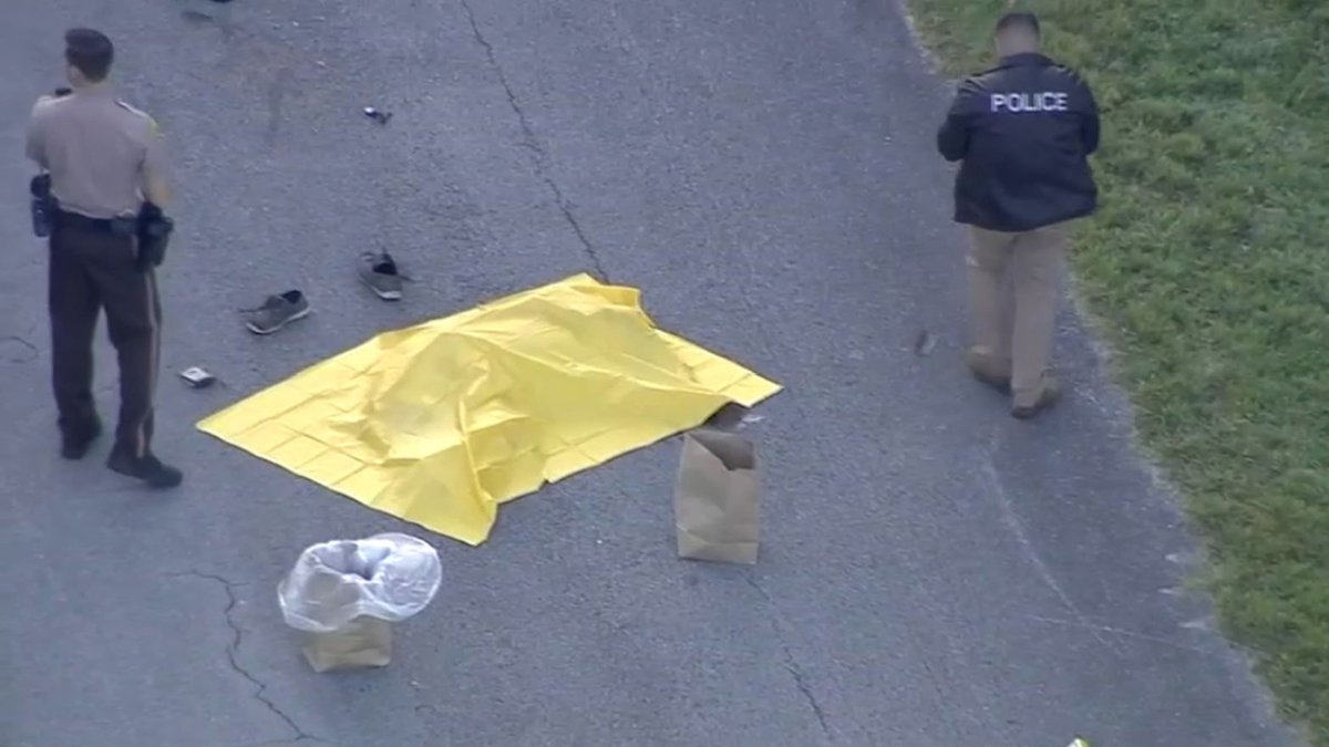 Fatal Morning Hit and Run Investigated in Southwest Miami-Dade – NBC 6 ...