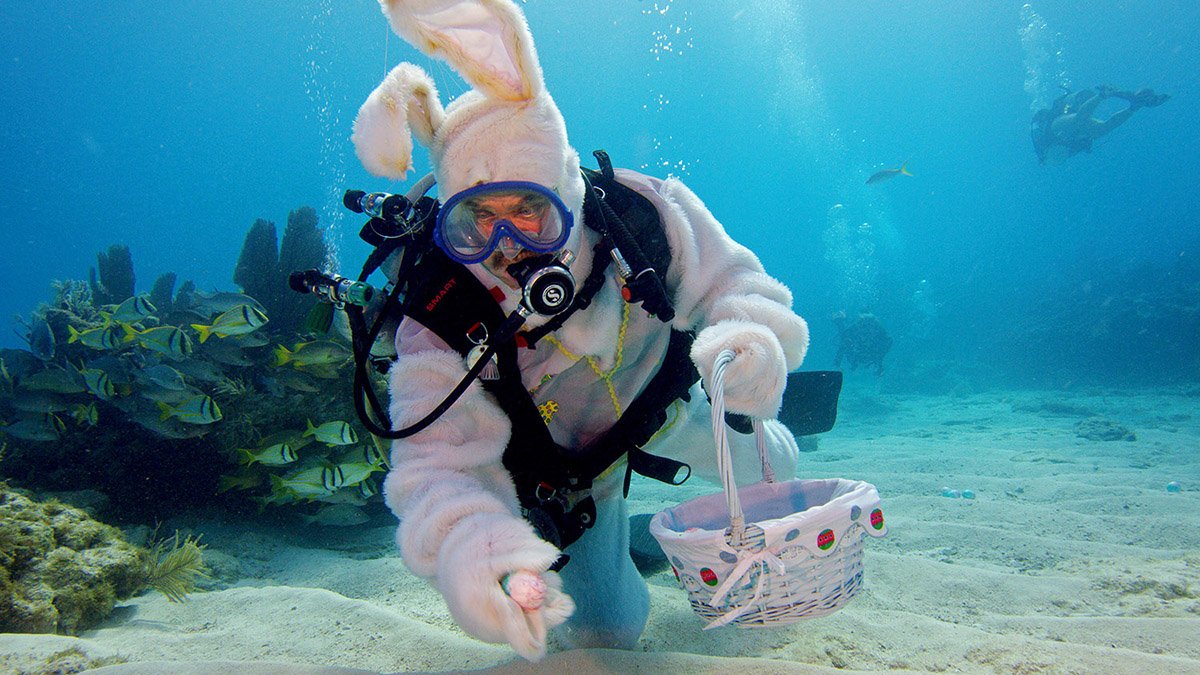 ‘Easter Bunny’ Stages Underwater Egg Hunt Off Florida Keys NBC 6