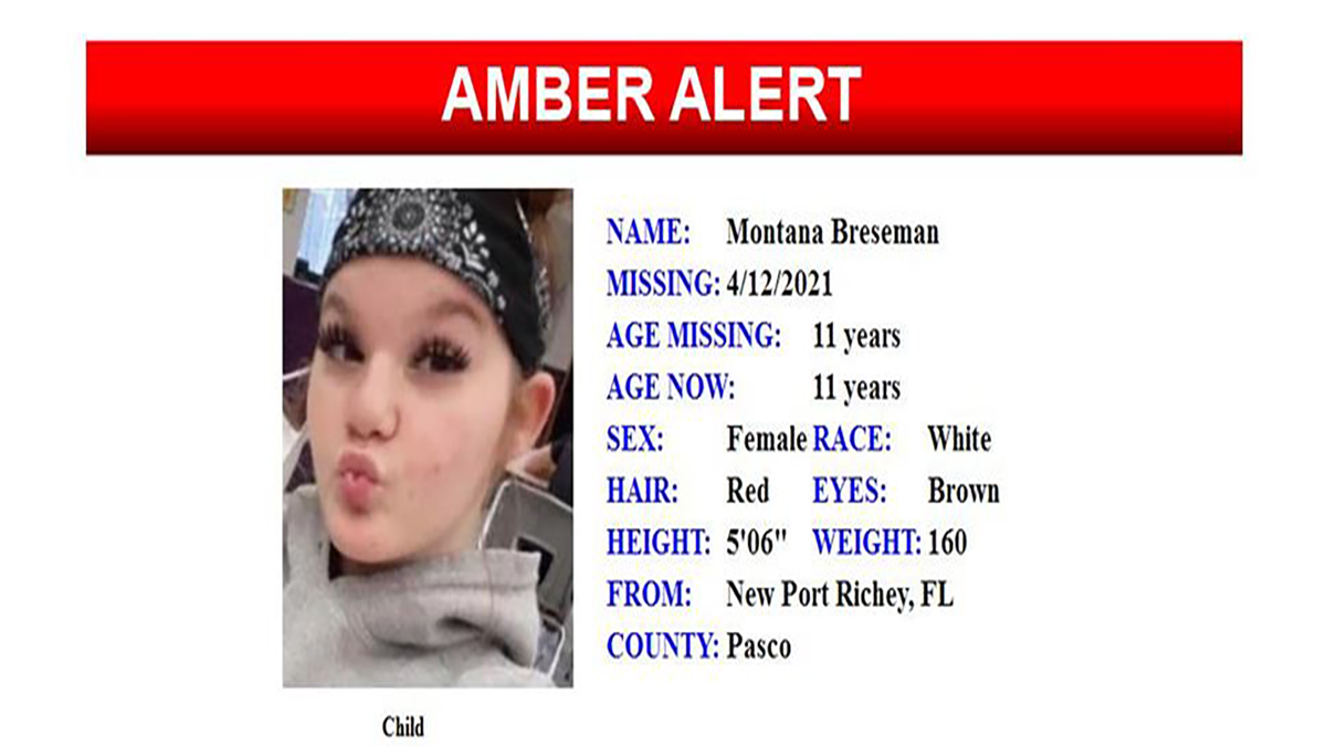 Amber Alert Canceled After Child Missing North of Tampa Found ...