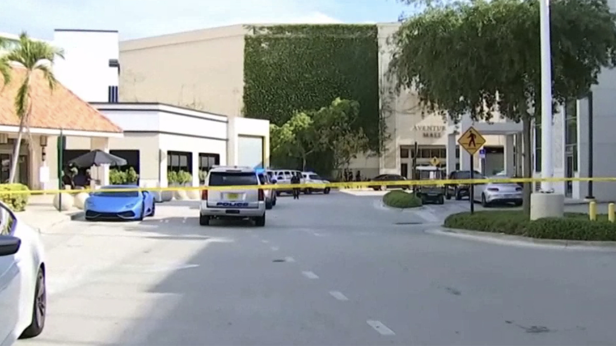 1 shot in leg at Town Center at Boca Raton mall
