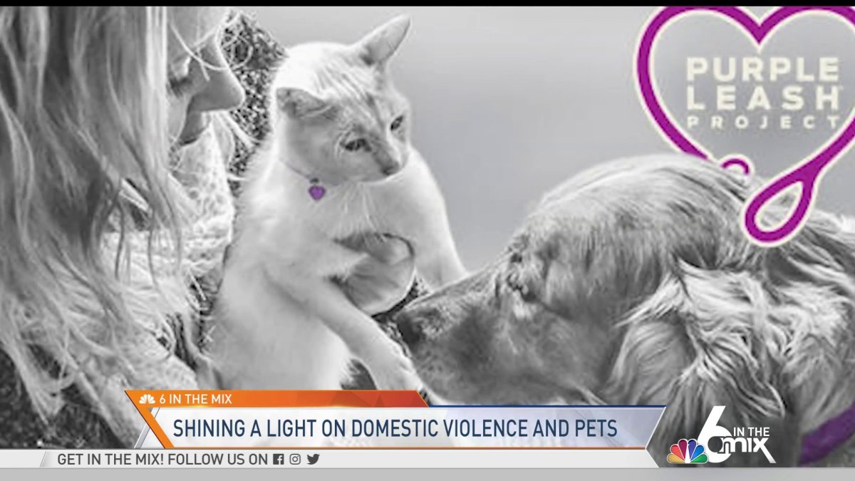 Shining a Light on Domestic Violence and Pets – NBC 6 South Florida