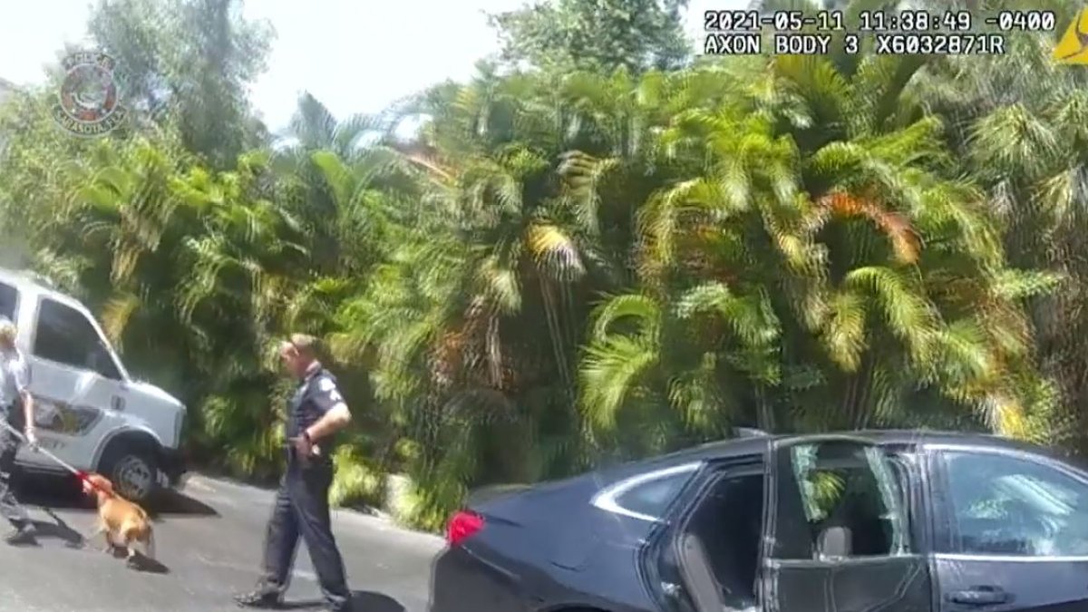 Two Florida Police Officers Smash Car Window to Save Dog From Hot Car ...