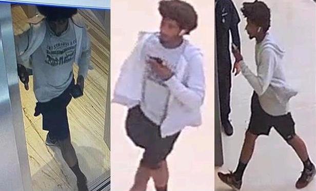 Man Arrested in Attempted Sex Battery at Brickell Apartment: Miami ...