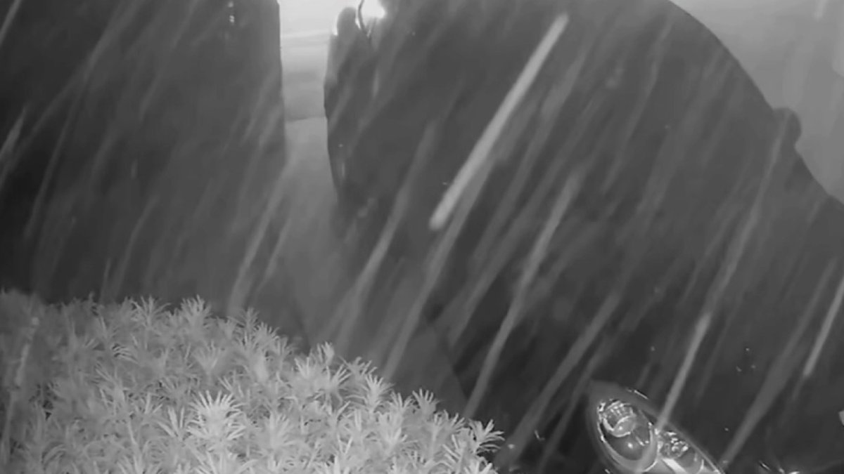 Neighbor's Home Surveillance Captures Dust Filling Streets During Condo Collapse - Vimarsana News