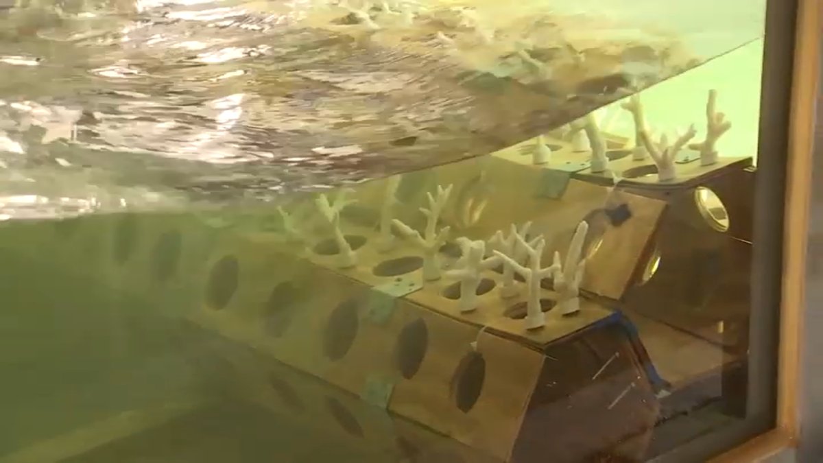 University of Miami Scientists Leading Research to Mitigate Storm