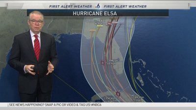 Computer Forecast Model Tracks for Hurricane Elsa