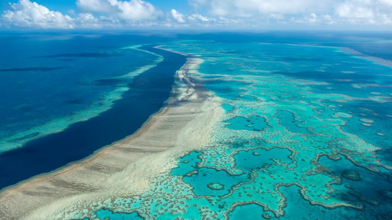 Australia Avoids UNESCO Downgrade of Great Barrier Reef – NBC 6 South ...