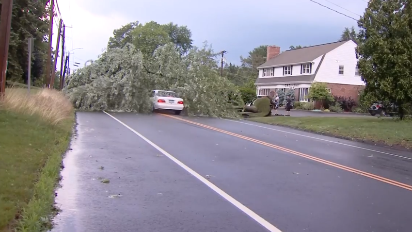 Car Crash Nbc 6 South Florida