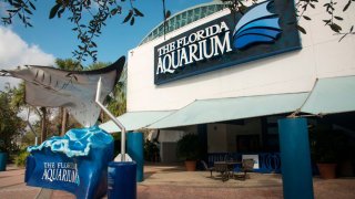 The Florida Aquarium entrance, St. Petersburg, Florida. (Photo by: Education Images/Universal Images Group via Getty Images)