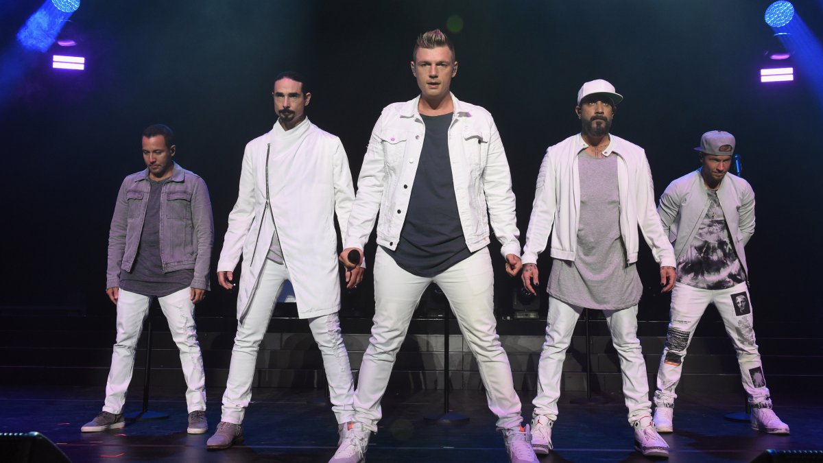 Backstreet Boys Meet up with Their Namesake Puppies at Nashville Animal Shelter