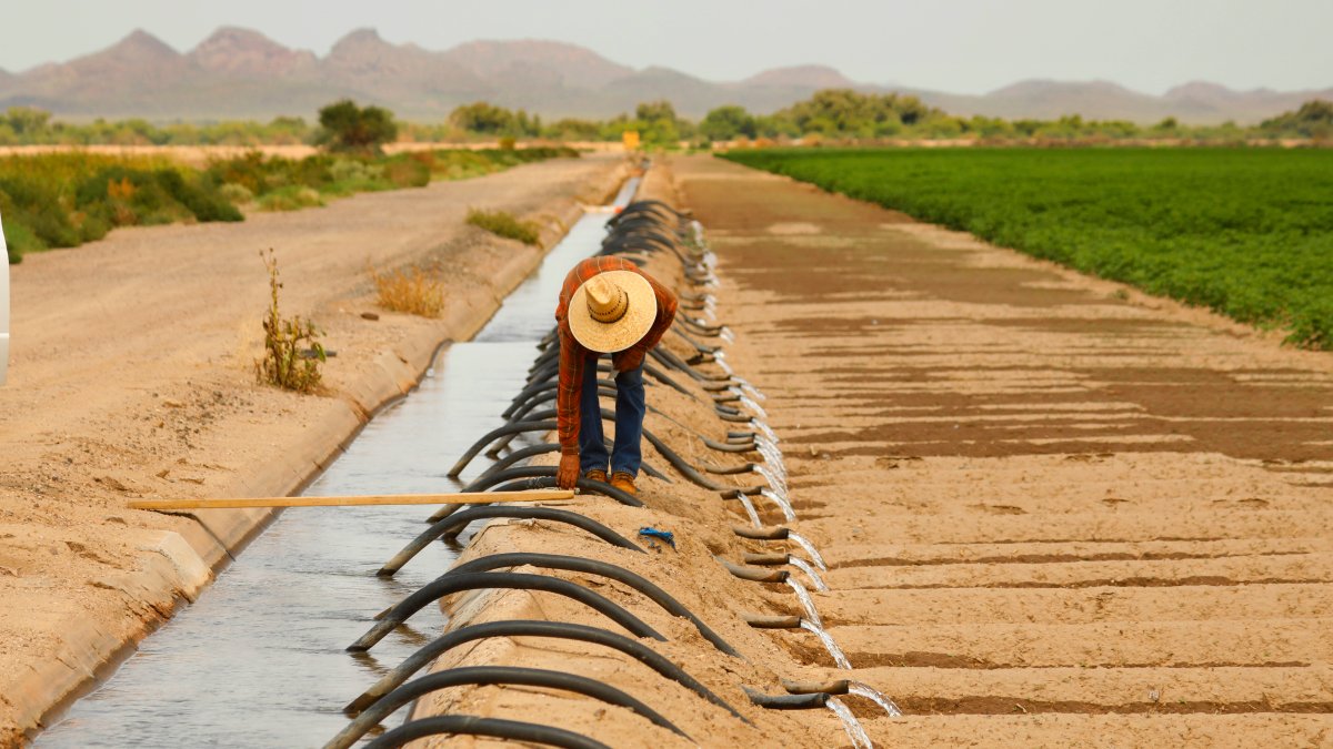 First Required Water Supply Cuts in US West to Hit Ariz. Farmers – NBC 6 South Florida - Vimarsana News