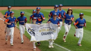 little league world series michigan