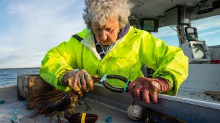 oldest lobster fisher Maine
