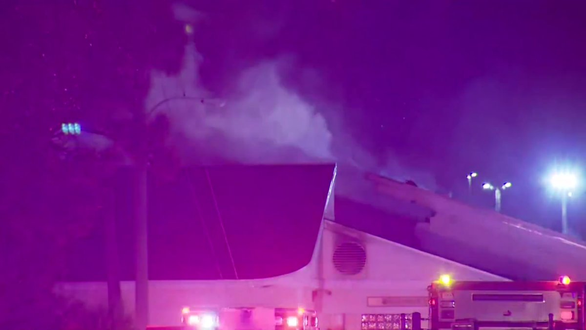 Cats Killed in Fire at Florida Rescue Shelter – NBC 6 South Florida