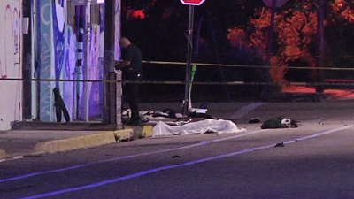 Possible Hit and Run Crash Investigated in Wynwood
