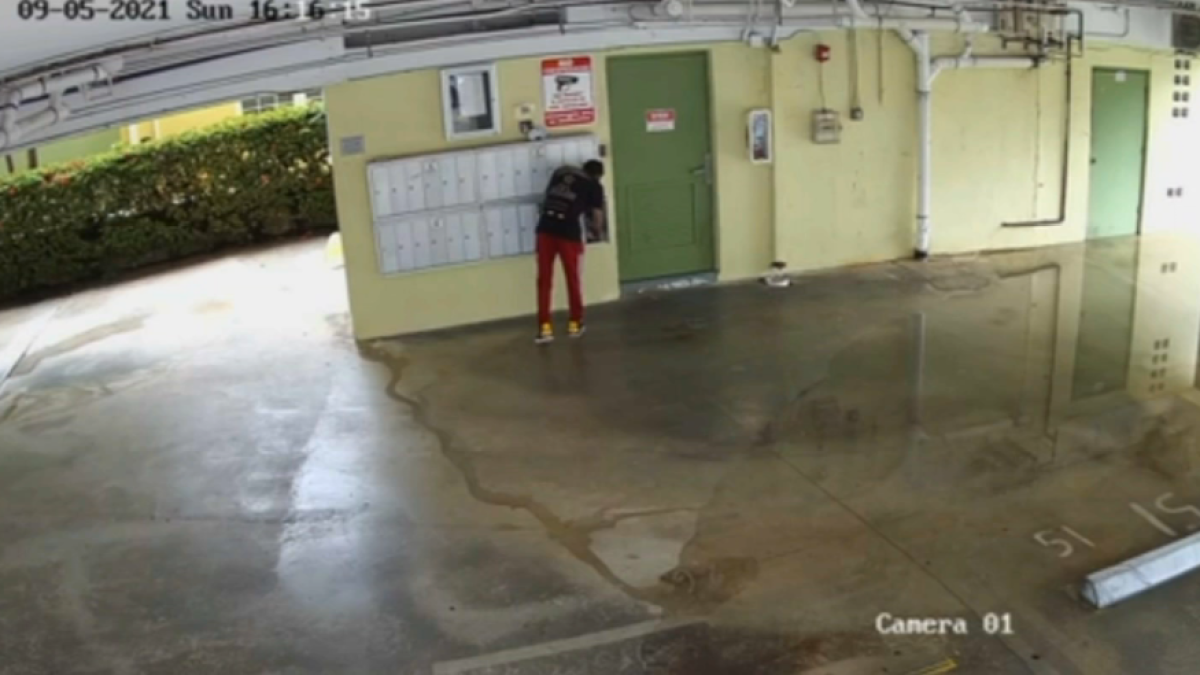 Residents Frustrated After Mail Stolen From Boxes at Miami Beach Condo ...