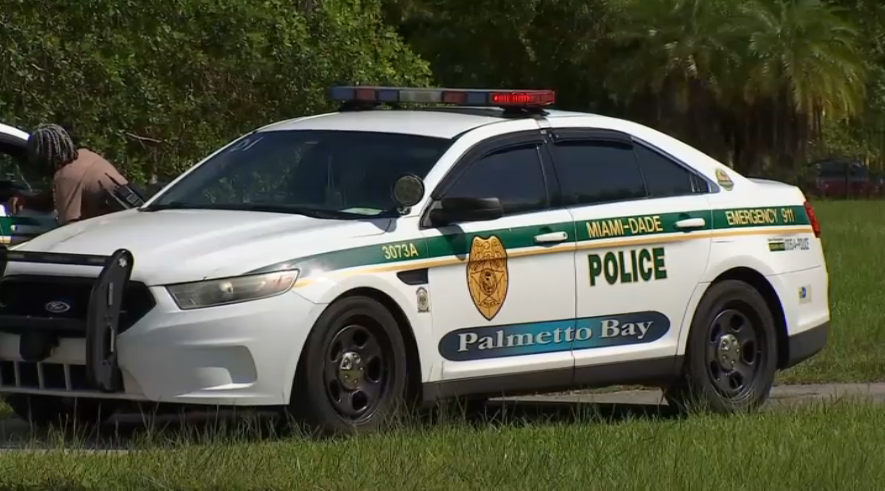 Police Searching for Man Who Attacked Woman at Knifepoint in Palmetto ...