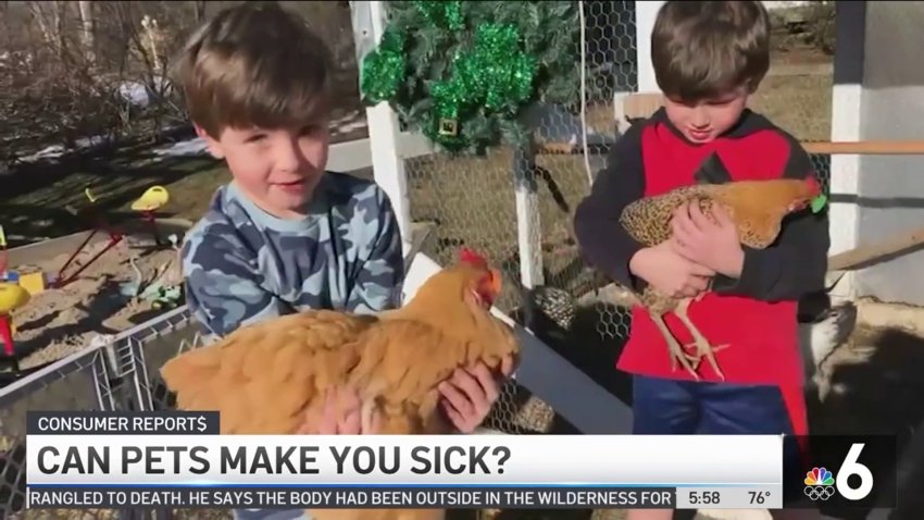 Consumer Reports: Can Pets Make You Sick?