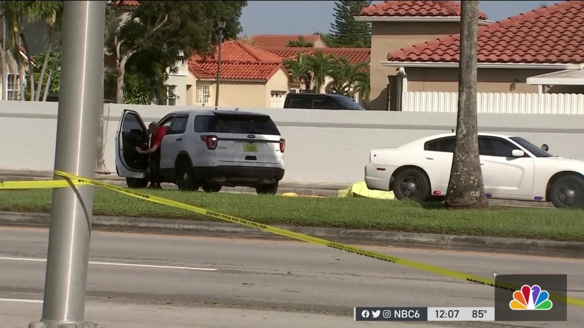 Hit and Run Crash Kills Man in SW Miami-Dade – NBC 6 South Florida