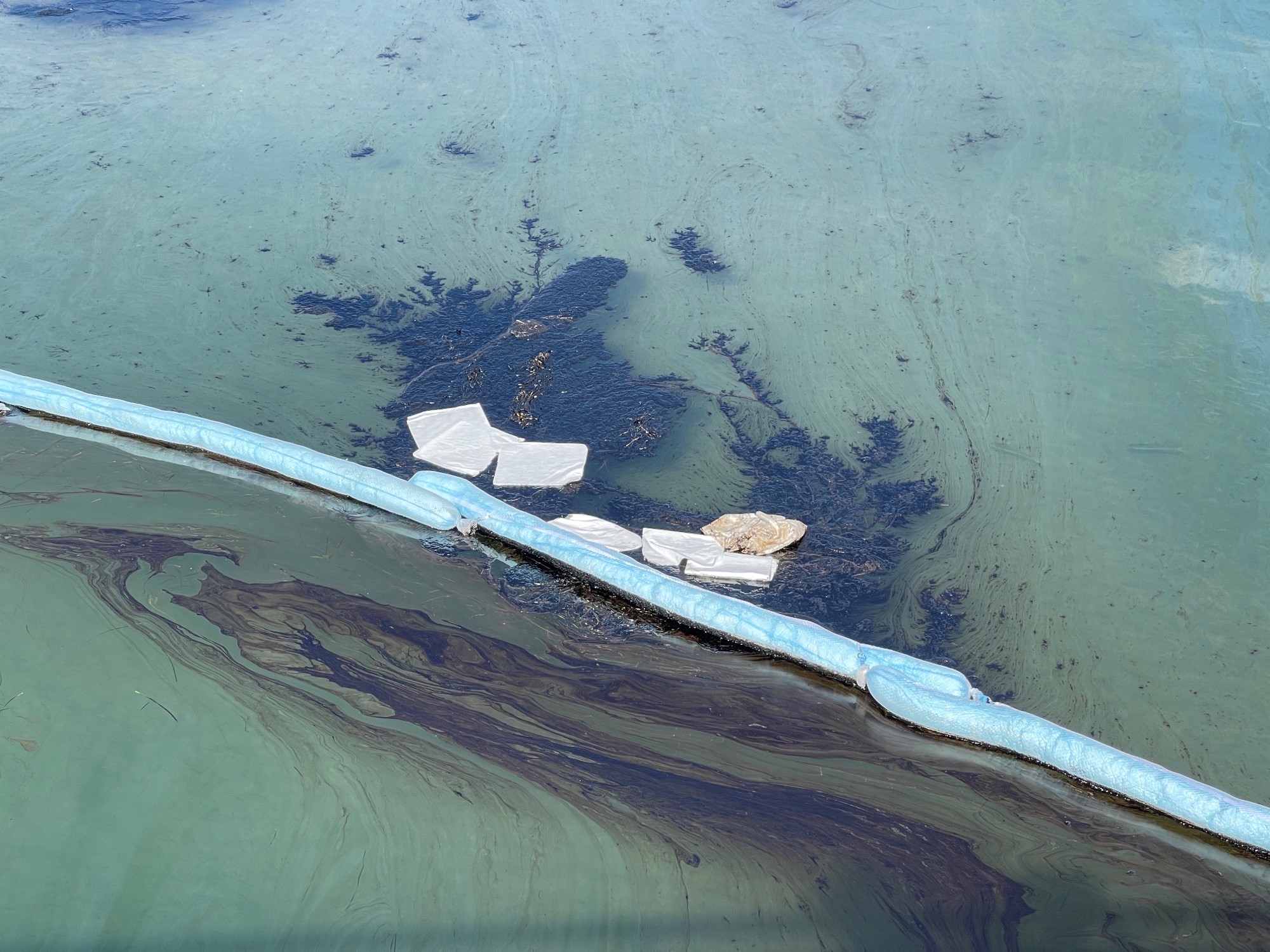 The oil spill occurred in federal waters at the Elly platform, which was built in 1980 and processes crude oil from two other platforms that comes from a large reservoir called Beta Field. Houston-based Amplify Energy Corp. is the parent company of Beta Offshore, but Beta Offshore is based in Long Beach, California. Here, oil is seen in the Huntington Beach Channel.