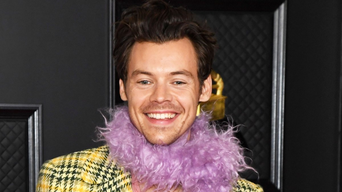 Yes, You Can Take a College Class About Harry Styles in Texas
